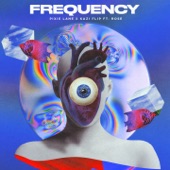 Frequency (feat. Rosanne Hamilton) [Radio Edit] artwork