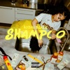 Shampoo - Single