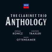 Clarinet Trio in G Minor, Op. 45: I. Allegro artwork