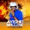 Ayish Willow (feat. Ndangala & Lungelo Chamane) - Lasabza lyrics