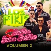 Los Pikis Éxitos de Salsa Erótica, Vol. 2 artwork