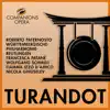 Puccini: Turandot album lyrics, reviews, download