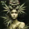 Mary J. - Single album lyrics, reviews, download