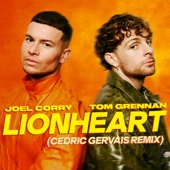 Lionheart (Cedric Gervais Remix) artwork