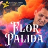 Flor pálida - Single