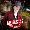 Me Gustas Te Gusto - Single