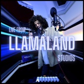 Live From Llamaland Studios artwork