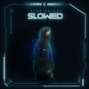 Alan Walker - Lily (Slowed Remix)