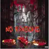 NoRandoms (feat. Ngeeyl, Skuffle) - Single album lyrics, reviews, download