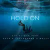 Hold on (feat. Esta) - Single album lyrics, reviews, download