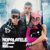 NOPALATELE artwork