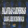 Stream & download Palavras Carinhosas - Single