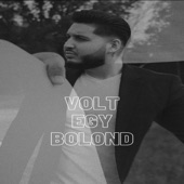 Volt egy bolond artwork