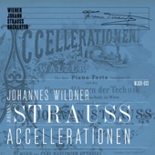Accelerationen Walzer, Op. 234 artwork