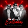 Te Voy a Extrañar - Single