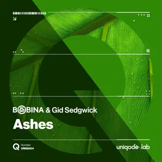 Ashes - Single by Bobina & Gid Sedgwick album reviews, ratings, credits