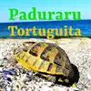 Tortuguita (Festival Music) - Single album lyrics, reviews, download