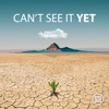 Can't See It Yet (Radio Version) - Single