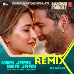 Meri Jaan Meri Jaan Remix - Single by B. Praak & DJ Aqeel album reviews, ratings, credits