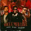Você É Meu Love - Single album lyrics, reviews, download