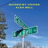 Alex Bell / Focus On the Flock - Single