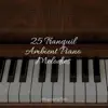 25 Tranquil Ambient Piano Melodies album lyrics, reviews, download