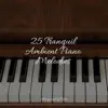 Stream & download 25 Tranquil Ambient Piano Melodies