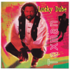 Taxman (2012 Remastered) - Lucky Dube
