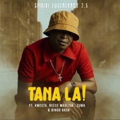 Tana La! (feat. Kwesta, Reece Madlisa, Zuma & Bingobash) artwork