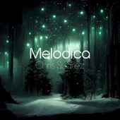 Melodica artwork