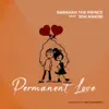 Permanent Love (feat. Joh Makini) - Single album lyrics, reviews, download