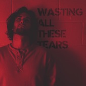 Wasting All These Tears artwork