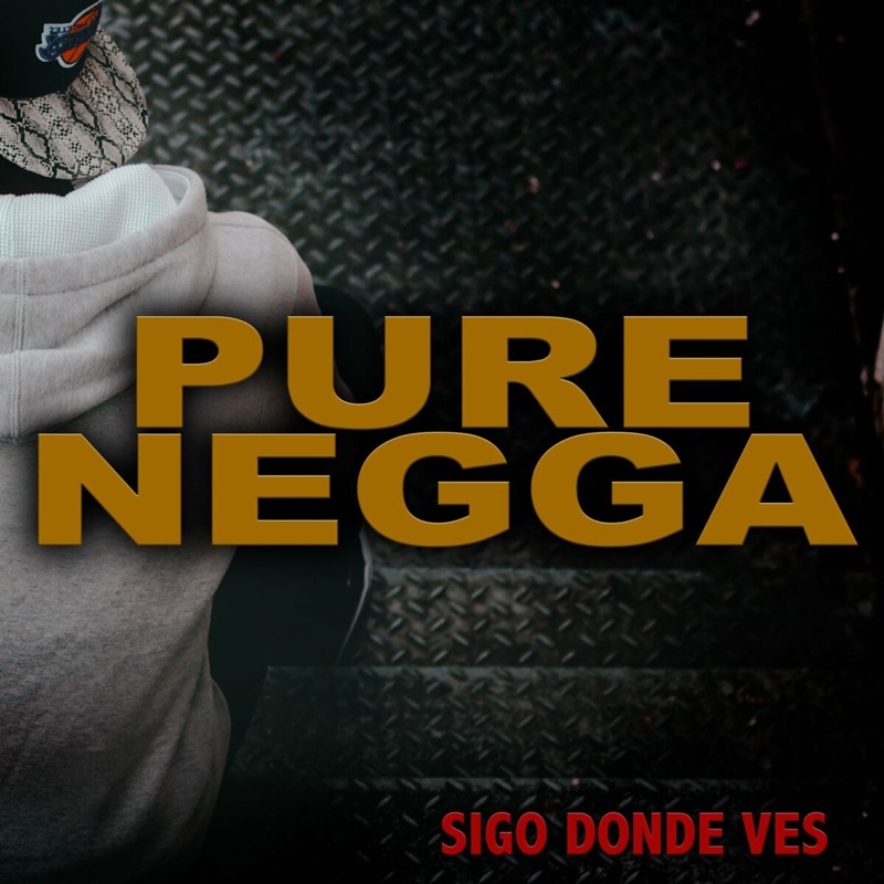 Pure Negga. Исполнитель Pure Negga. Песня Pure Negga. Pure Negga CNV Sound. Pure negga cnv sound vol 14 перевод