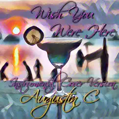 Wish You Were Here (Instrumental Cover Version) - Single by Augustin Collier album reviews, ratings, credits