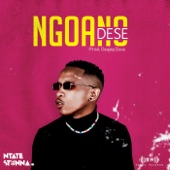 Ngoano Dese artwork