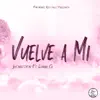 Stream & download Vuelve a Mi (feat. Danny G) - Single