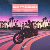 Harleys in Hawaii artwork