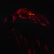 SANS FLEURS (feat. Luv Resval) - Ashh lyrics