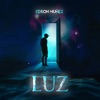 Luz - Single