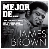 James Brown - It's Too Funky In Here