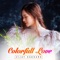 Colorfull Love - Vijay Sakhare lyrics