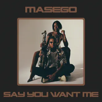 Say You Want Me - Single by Masego album reviews, ratings, credits