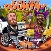If She Ain't Country (Remix) artwork