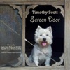 Screen Door - Single