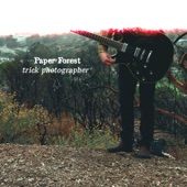 Paper Forest - Idioms