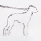 Portrait of a Dog artwork