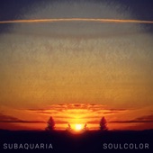 Soulcolor artwork