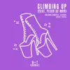 Stream & download Climbing Up (Birdee Remix) - Single