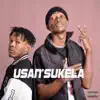 Stream & download Usan'Sukela