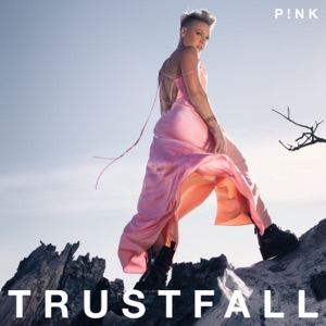 P!nk - Kids in Love (feat.  First Aid Kit) - Line Dance Musique